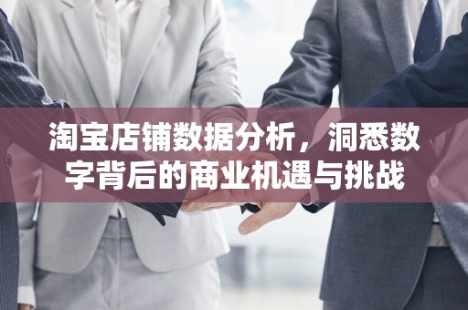 淘宝店铺数据分析，洞悉数字背后的商业机遇与挑战