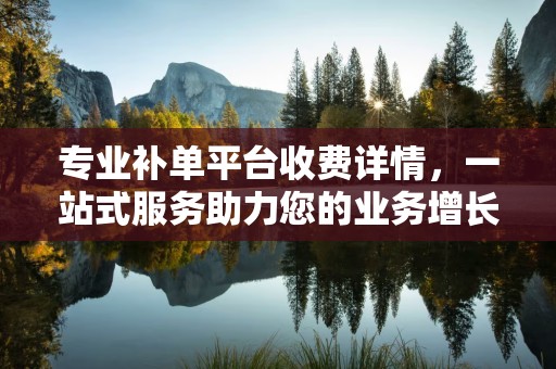 专业补单平台收费详情，一站式服务助力您的业务增长