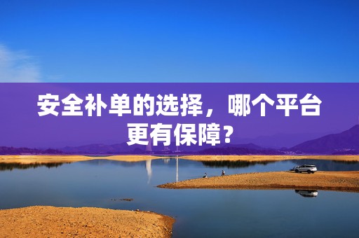 安全补单的选择，哪个平台更有保障？