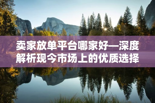卖家放单平台哪家好—深度解析现今市场上的优质选择