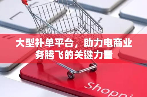 大型补单平台，助力电商业务腾飞的关键力量
