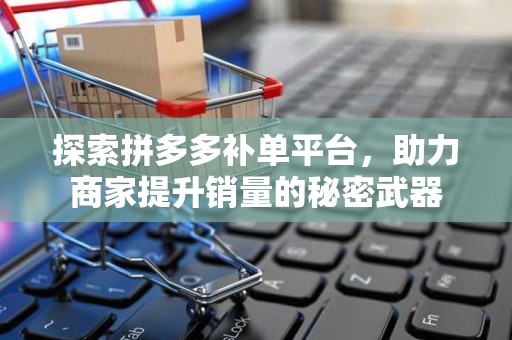 探索拼多多补单平台，助力商家提升销量的秘密武器