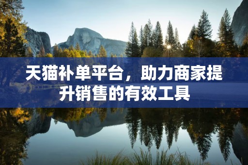 天猫补单平台，助力商家提升销售的有效工具