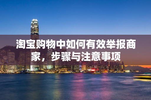 淘宝购物中如何有效举报商家，步骤与注意事项
