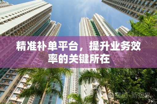 精准补单平台，提升业务效率的关键所在