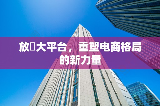 放單大平台，重塑电商格局的新力量