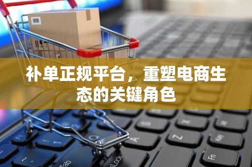 补单正规平台，重塑电商生态的关键角色