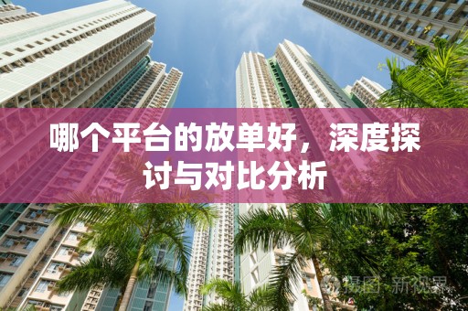 哪个平台的放单好，深度探讨与对比分析