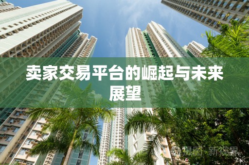 卖家交易平台的崛起与未来展望