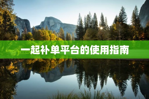 一起补单平台的使用指南