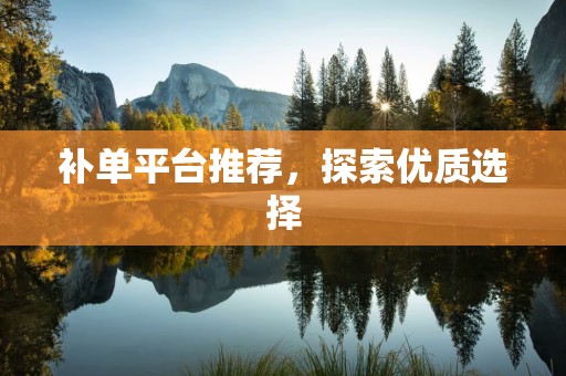 补单平台推荐，探索优质选择