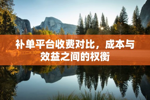 补单平台收费对比，成本与效益之间的权衡