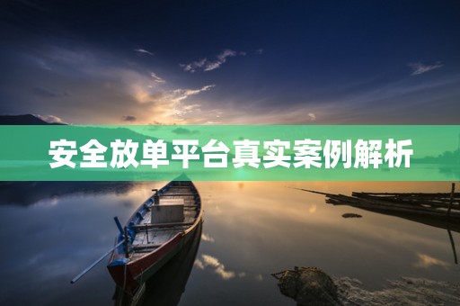 安全放单平台真实案例解析