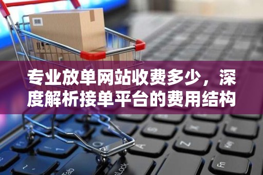专业放单网站收费多少，深度解析接单平台的费用结构