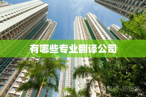 有哪些专业翻译公司