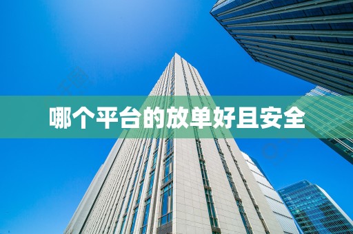 哪个平台的放单好且安全