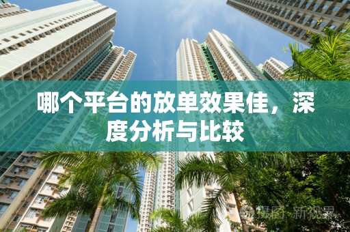 哪个平台的放单效果佳，深度分析与比较