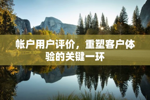 帐户用户评价，重塑客户体验的关键一环