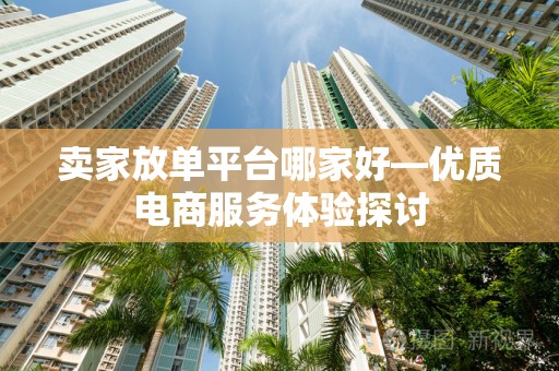 卖家放单平台哪家好—优质电商服务体验探讨