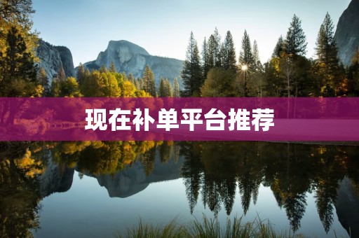 现在补单平台推荐