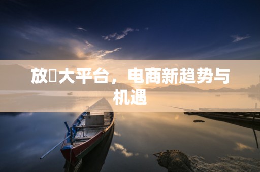 放單大平台，电商新趋势与机遇