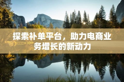 探索补单平台，助力电商业务增长的新动力