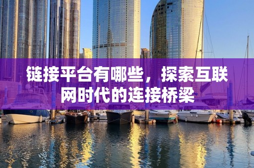 链接平台有哪些，探索互联网时代的连接桥梁