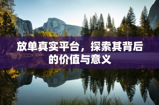 放单真实平台，探索其背后的价值与意义
