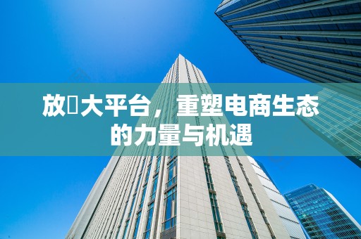 放單大平台，重塑电商生态的力量与机遇