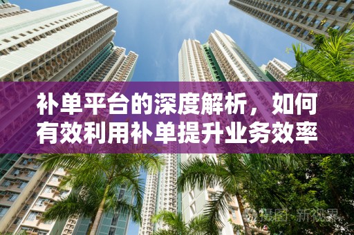 补单平台的深度解析，如何有效利用补单提升业务效率