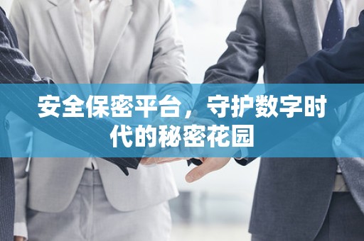 安全保密平台，守护数字时代的秘密花园