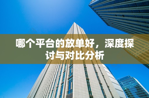 哪个平台的放单好，深度探讨与对比分析