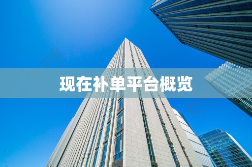 现在补单平台概览