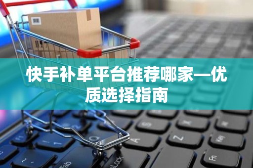 快手补单平台推荐哪家—优质选择指南
