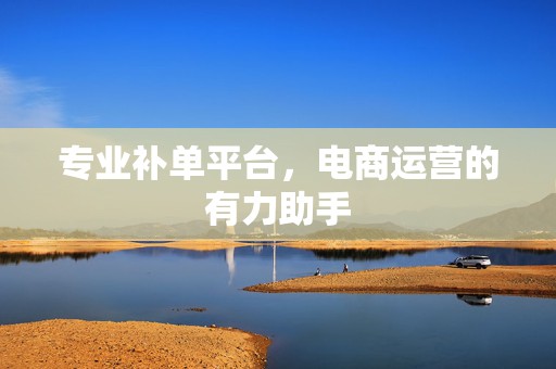 专业补单平台，电商运营的有力助手