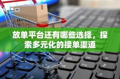 放单平台还有哪些选择，探索多元化的接单渠道
