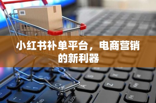 小红书补单平台，电商营销的新利器