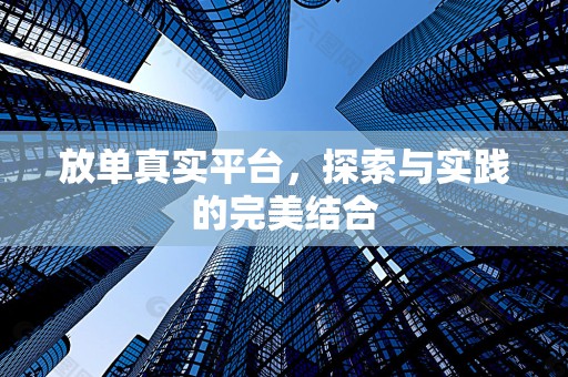 放单真实平台，探索与实践的完美结合