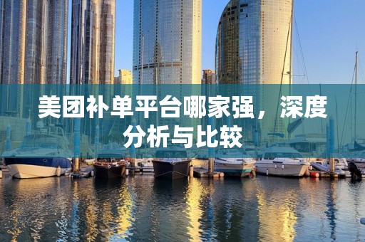 美团补单平台哪家强，深度分析与比较