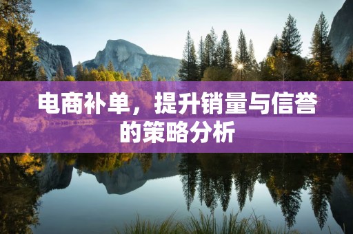 电商补单，提升销量与信誉的策略分析