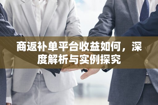 商返补单平台收益如何，深度解析与实例探究