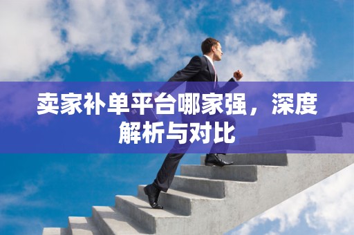 卖家补单平台哪家强，深度解析与对比