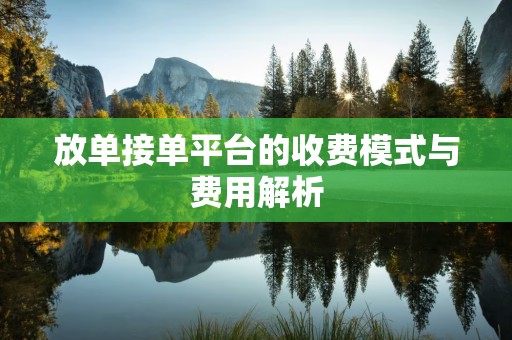放单接单平台的收费模式与费用解析