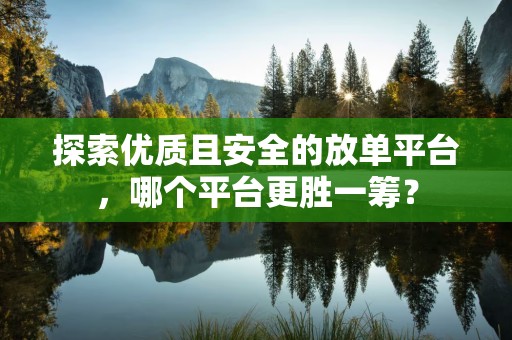 探索优质且安全的放单平台，哪个平台更胜一筹？