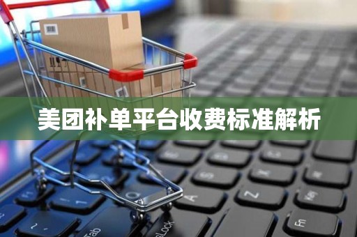美团补单平台收费标准解析