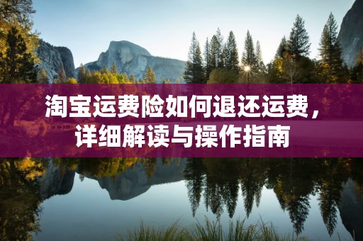 淘宝运费险如何退还运费，详细解读与操作指南