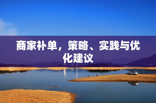商家补单，策略、实践与优化建议