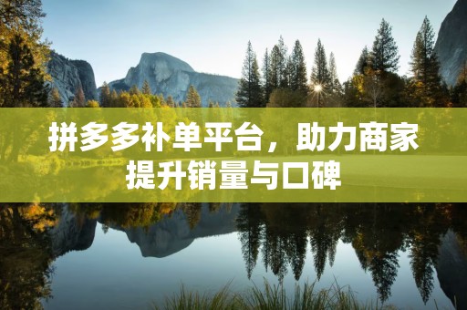 拼多多补单平台，助力商家提升销量与口碑