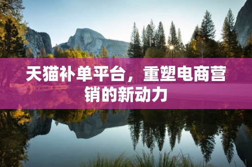 天猫补单平台，重塑电商营销的新动力