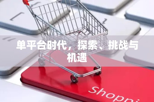 单平台时代，探索、挑战与机遇